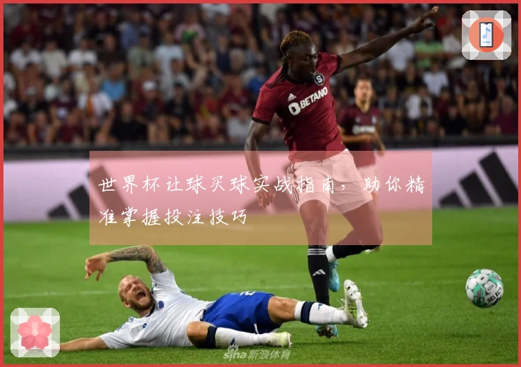 世界杯让球买球实战指南，助你精准掌握投注技巧