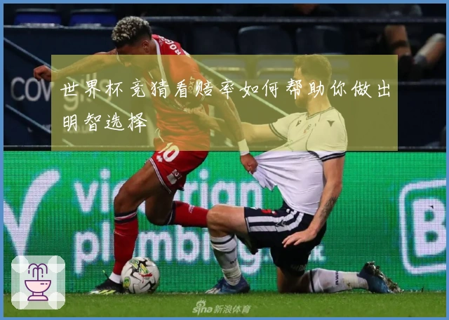 世界杯竞猜看赔率如何帮助你做出明智选择