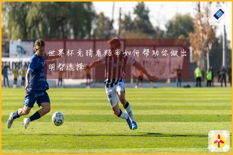 世界杯竞猜看赔率如何帮助你做出明智选择