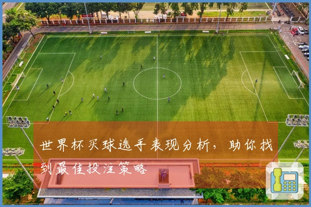 世界杯买球选手表现分析，助你找到最佳投注策略