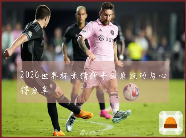 2026世界杯竞猜新手必看技巧与心得分享