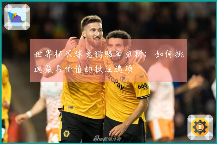 世界杯买球竞猜赔率分析：如何挑选最具价值的投注选项